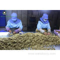 Walnut Kernels Light Pieces(LP)from Yunnan